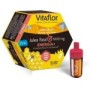 Vitaflor Energia Jalea Real 20 Amp X 10 Ml