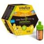 Vitaflor Defensas Jalea Real 20 Amp X 10 Ml