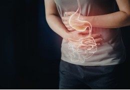 Microbiota y Defensas: El Secreto de tu Bienestar Comienza en el Intestino ✨